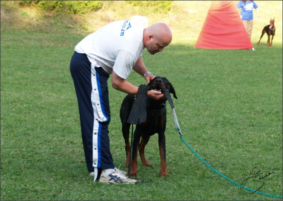 Summer training camp - Jelenec - 2007